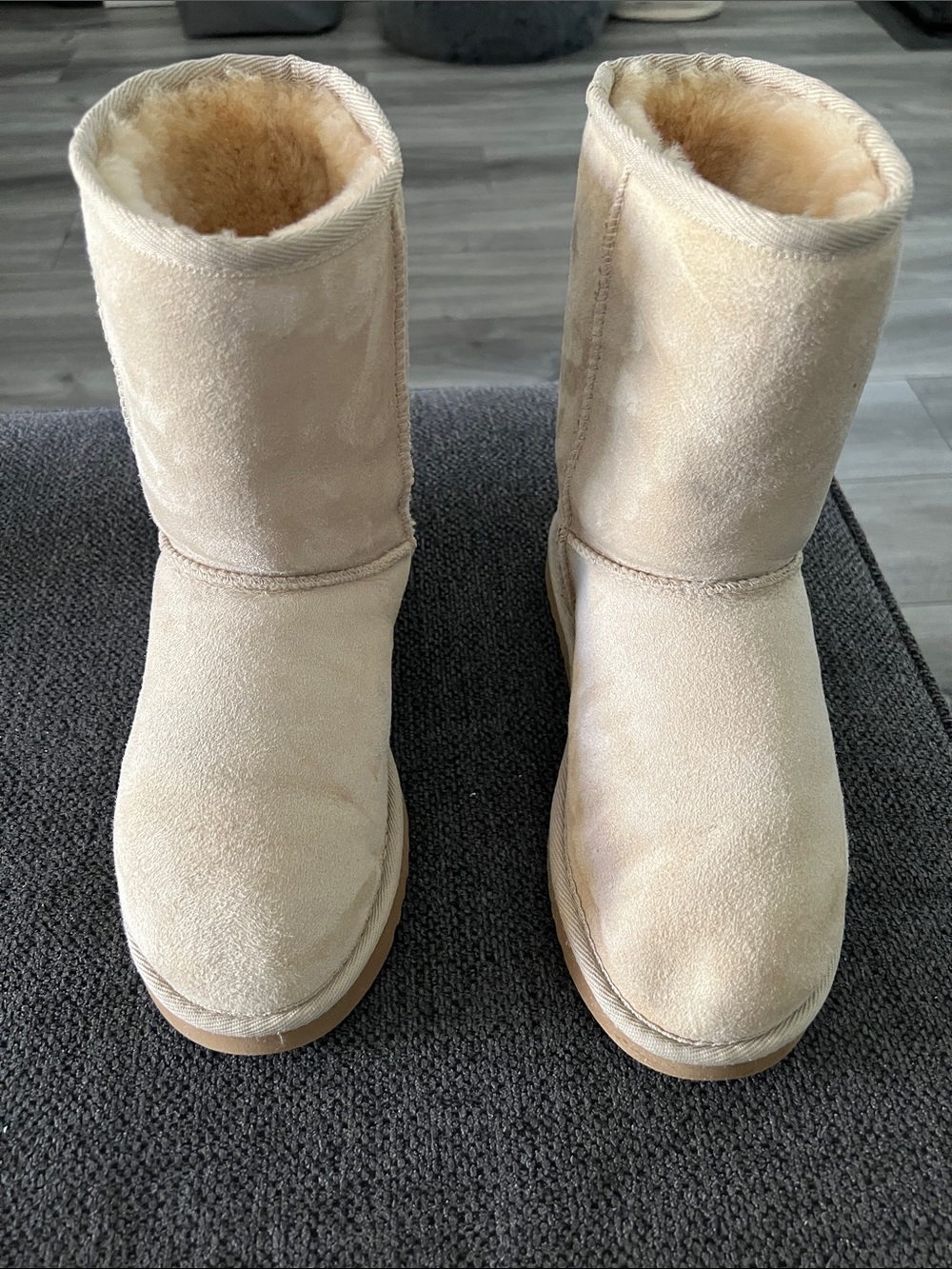 UGG Women's Classic Short Boots in Cream Suede
